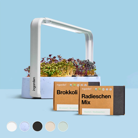 ingarden + Mini Brokkoli & Radieschen Mix