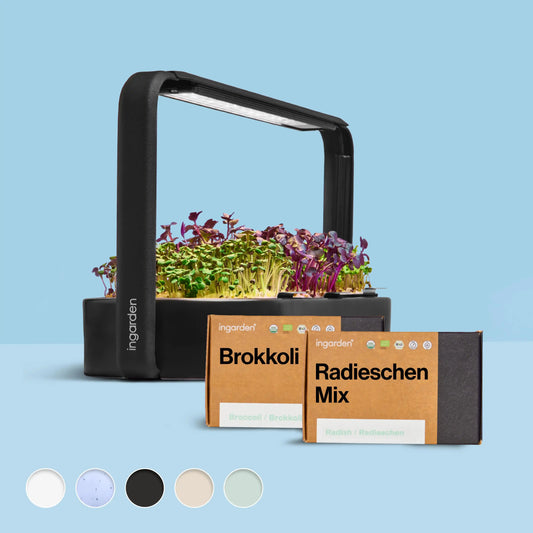 ingarden + Mini Brokkoli & Radieschen Mix