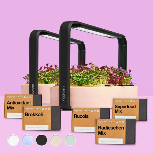 Starter-Set mit 2 ingarden (Mit Abonnement)