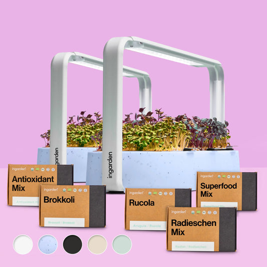 Starter-Set mit 2 ingarden (Mit Abonnement)