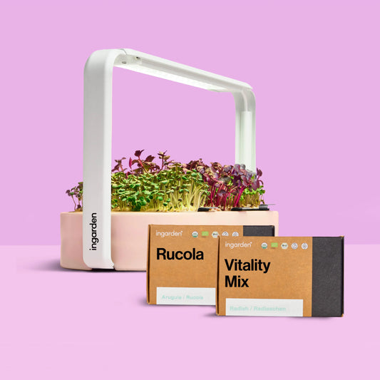 ingarden Limited Edition + Mini Rucola & Vitality Mix (Mit Abonnement)