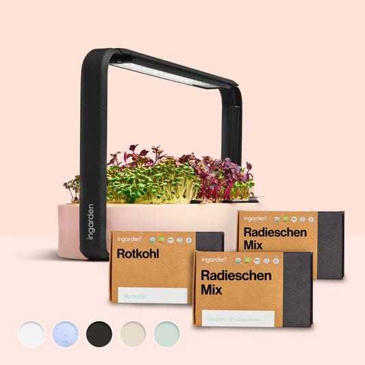 ingarden + Mini Rotkohl & Radieschen Mix