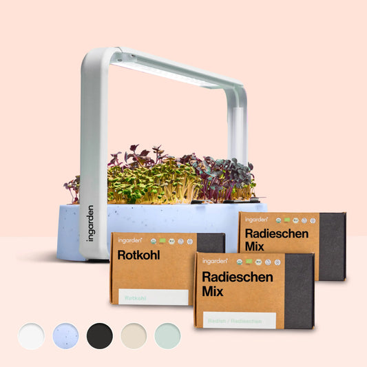 ingarden + Mini Rotkohl & Radieschen Mix