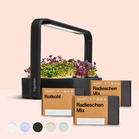 ingarden + Mini Rotkohl & Radieschen Mix