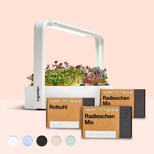 ingarden + Mini Rotkohl & Radieschen Mix