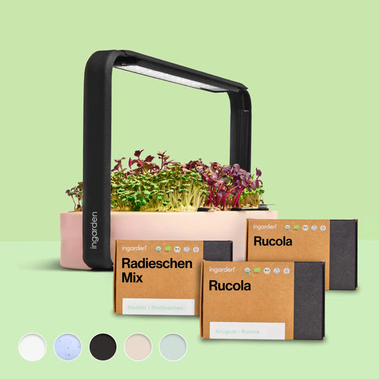 ingarden + Mini Rucola & Radieschen Mix