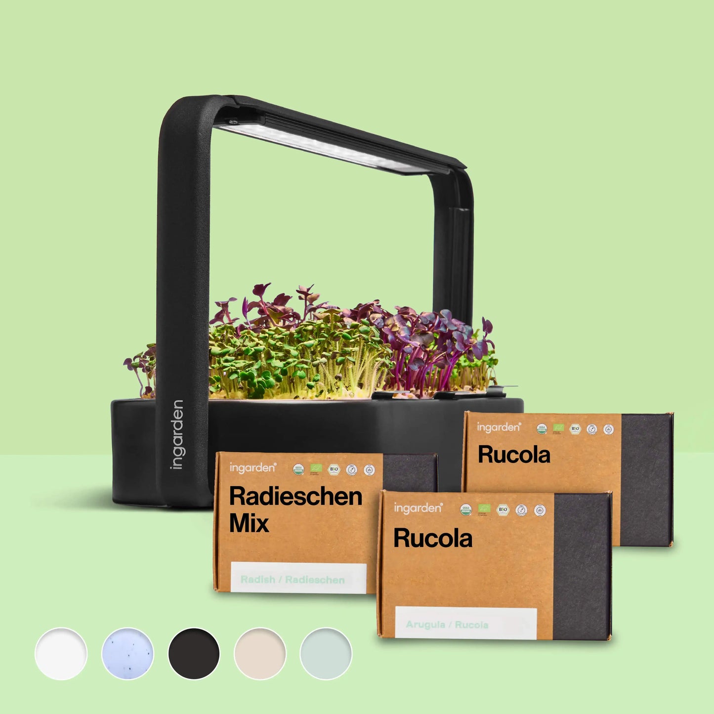 ingarden + Mini Rucola & Radieschen Mix