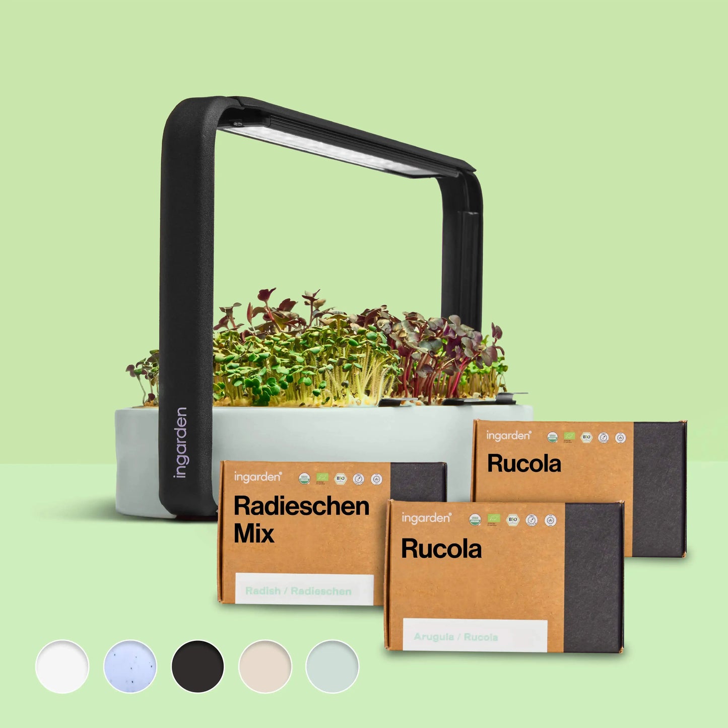 ingarden + Mini Rucola & Radieschen Mix
