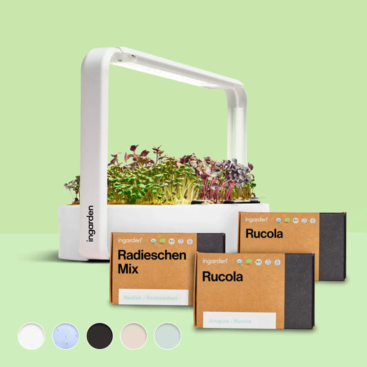 ingarden + Mini Rucola & Radieschen Mix