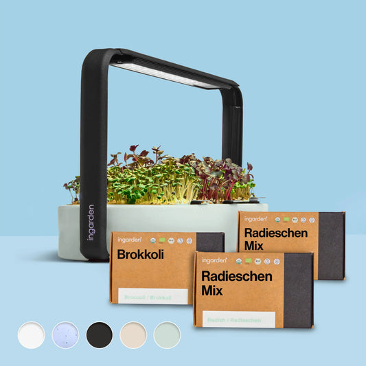 Immune Boost Starter Set (with subscription)