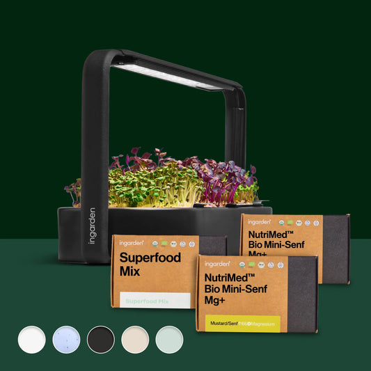 Traumblatt Starter-Set (Mit Abonnement)