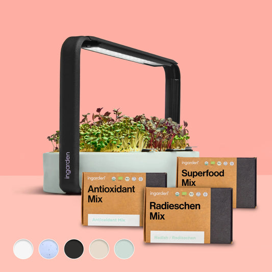 INGARDEN HELATH BENEFIT NEU BESTPERFORMER 3REFILLS MINT 1