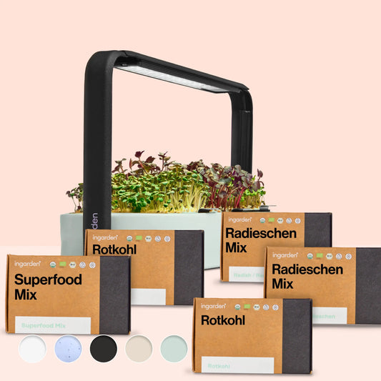 Gut Rest Starter Set (Value Pack, Single Purchase)