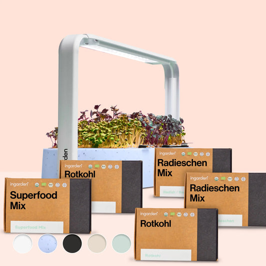 Gut Rest Starter Set (Value Pack, Single Purchase)