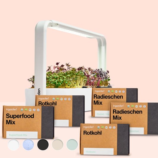 Gut Rest Starter Set (Value Pack, Single Purchase)