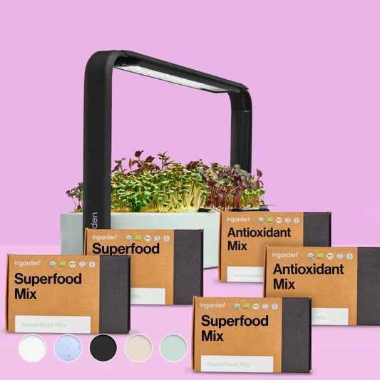 Klarblüte Starter-Set (Sparset Einzelkauf)