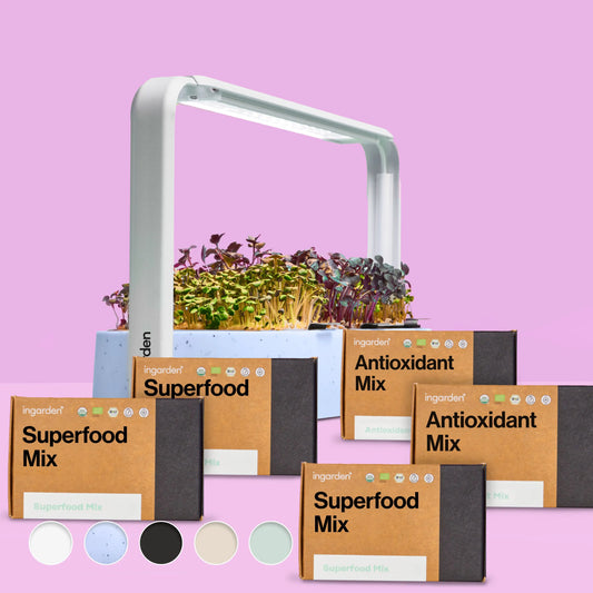 Klarblüte Starter-Set (Sparset Einzelkauf)