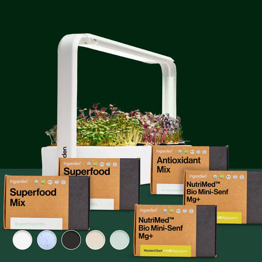 Traumblatt Starter-Set (Sparset Einzelkauf)