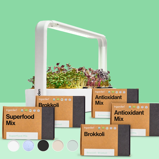 Zellgarten Starter-Set (Sparset Einzelkauf)