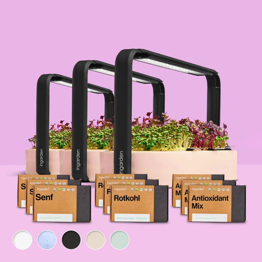 Starter-Set mit 3 ingarden