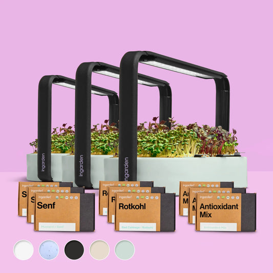 Starter-Set mit 3 ingarden