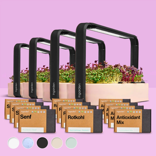 Starter-Set mit 4 ingarden