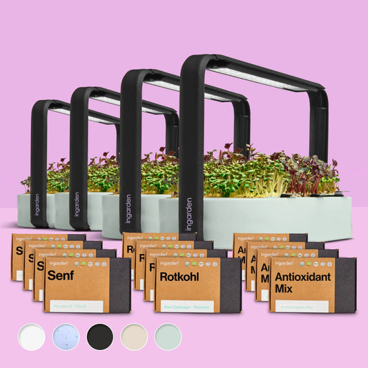 Starter-Set mit 4 ingarden