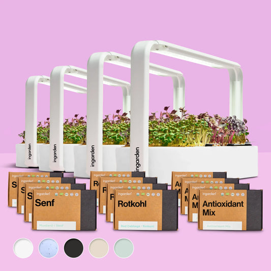 Starter-Set mit 4 ingarden