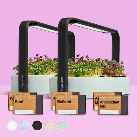 Starter-Set mit 2 ingarden (Mit Abonnement)