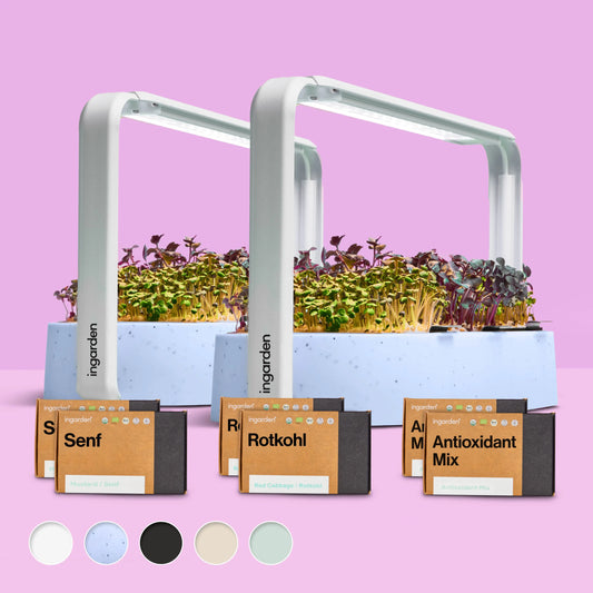 Starter-Set mit 2 ingarden (Mit Abonnement)