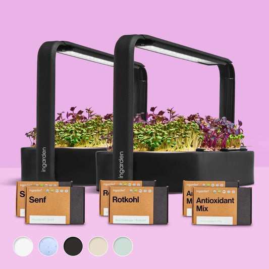 Starter-Set mit 2 ingarden (Mit Abonnement)