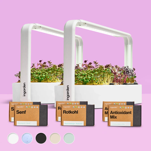 Starter-Set mit 2 ingarden (Mit Abonnement)