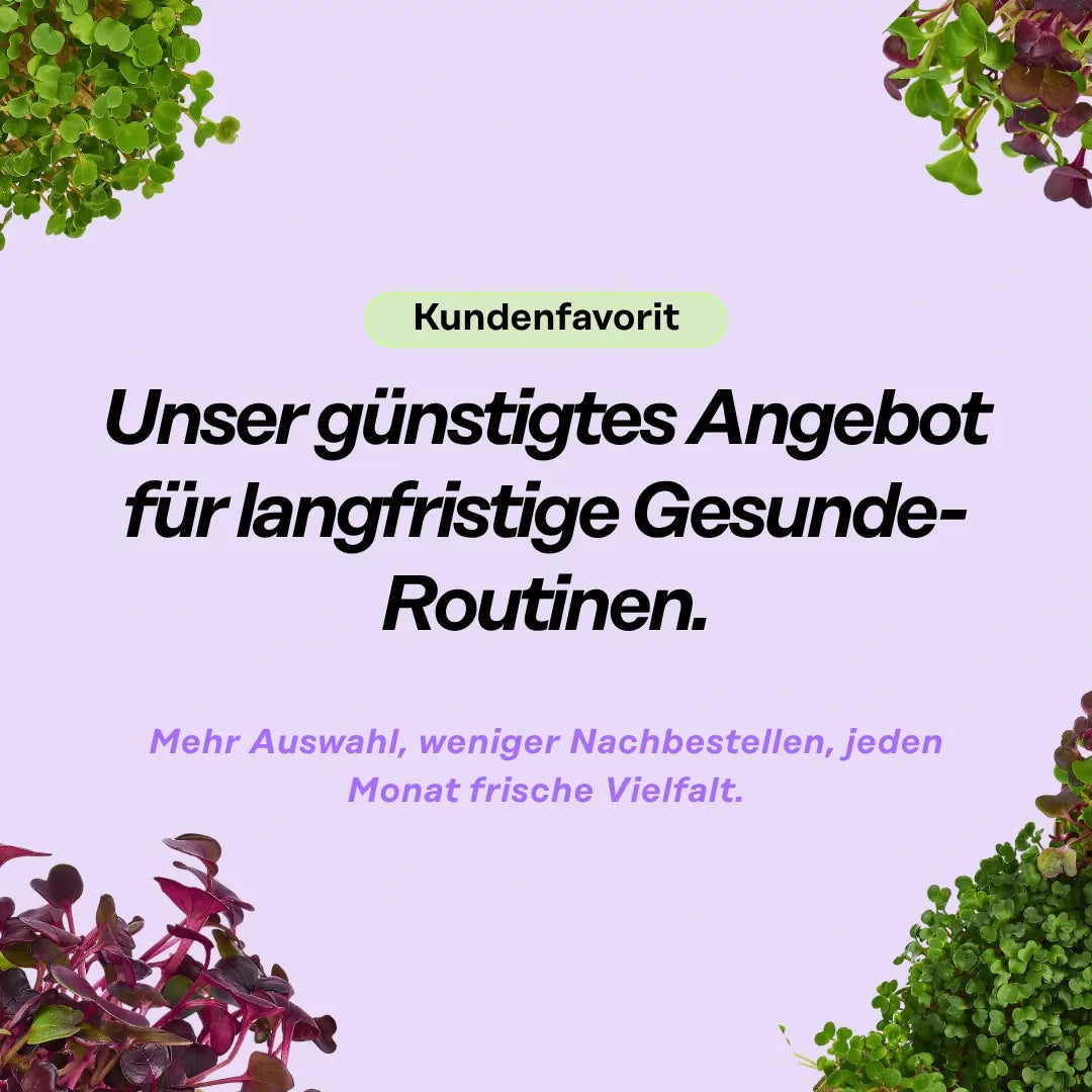 2-Jahresvorrat – 168 Pads Bestseller Mix