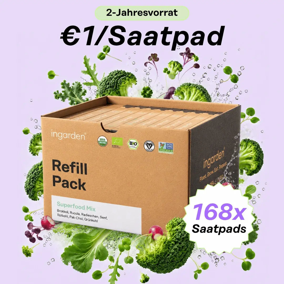 2-Jahresvorrat – 168 Pads Bestseller Mix