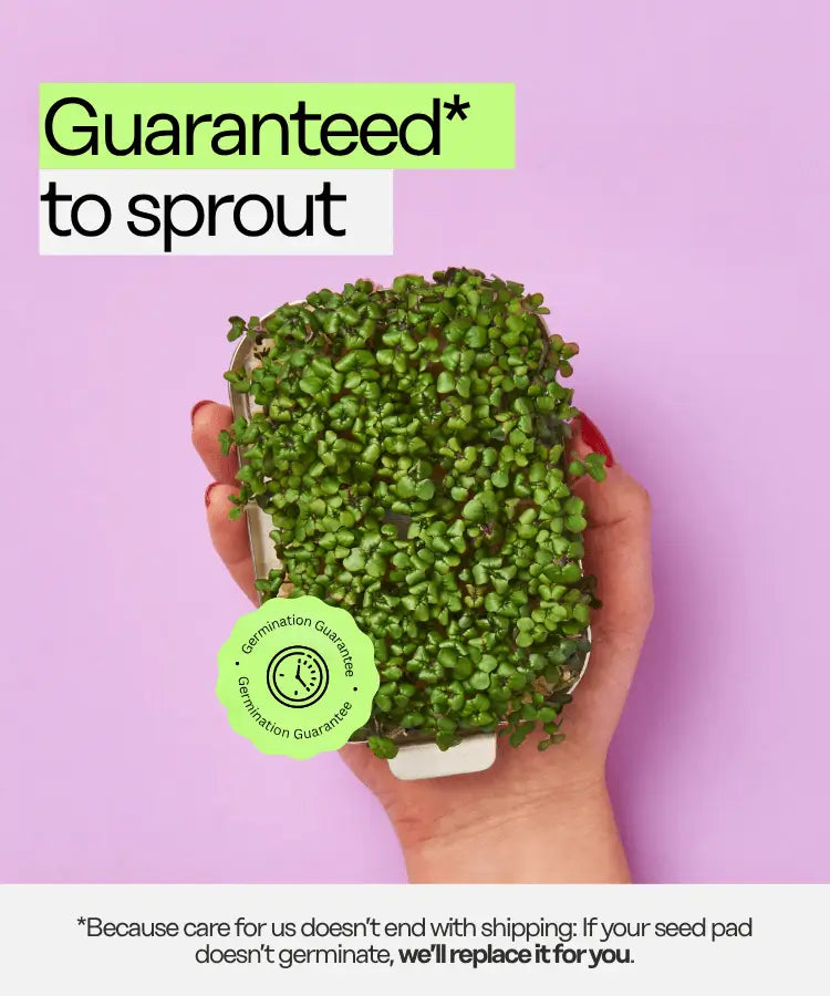 ingarden Germination Guarantee