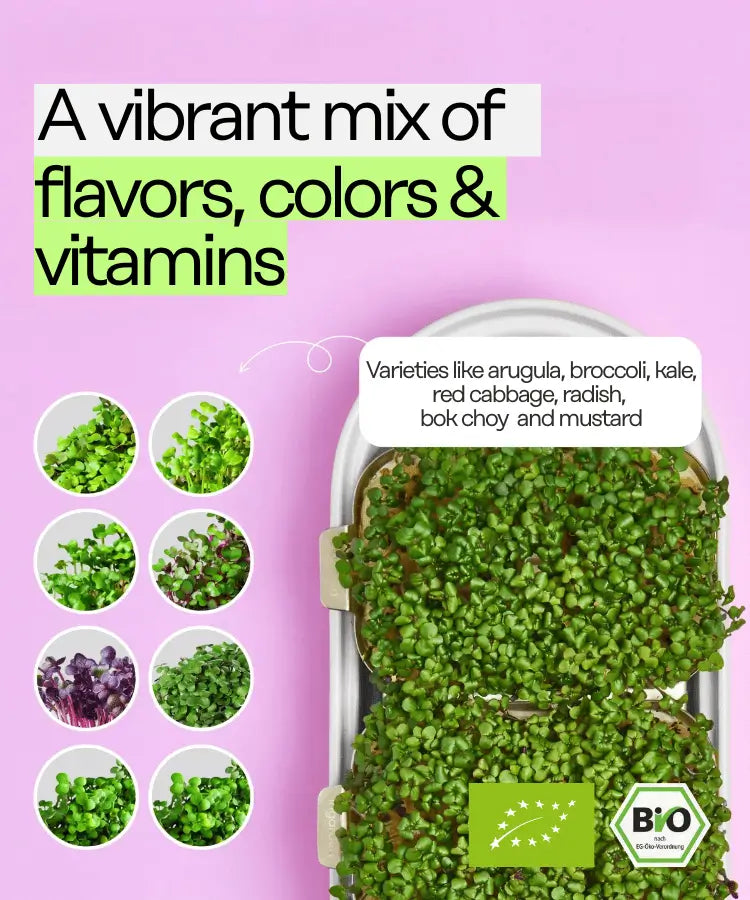 ingarden vibrant mix of flavors