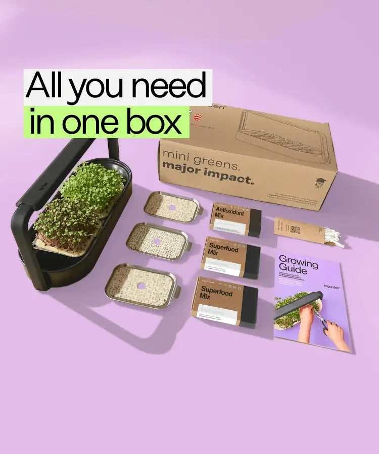 brain Starter Set ingarden box image