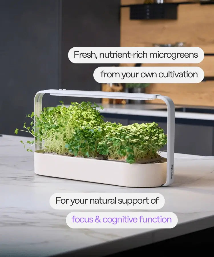 ingarden Immune Starter Set Health Benefit