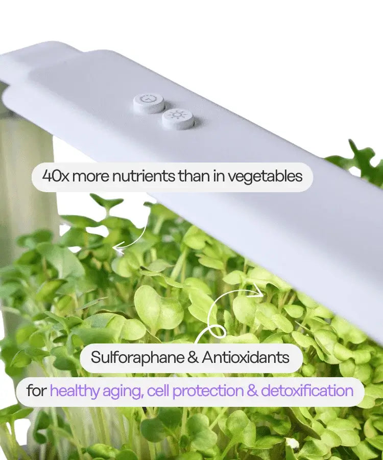 ingarden Cell Garden Health Benefit