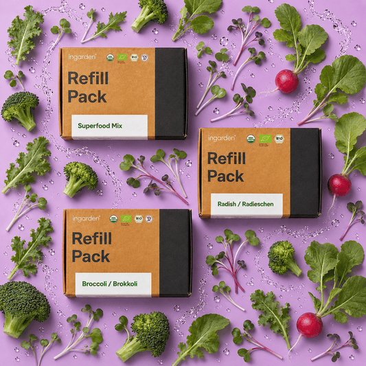 Immunkraft – 3er Set