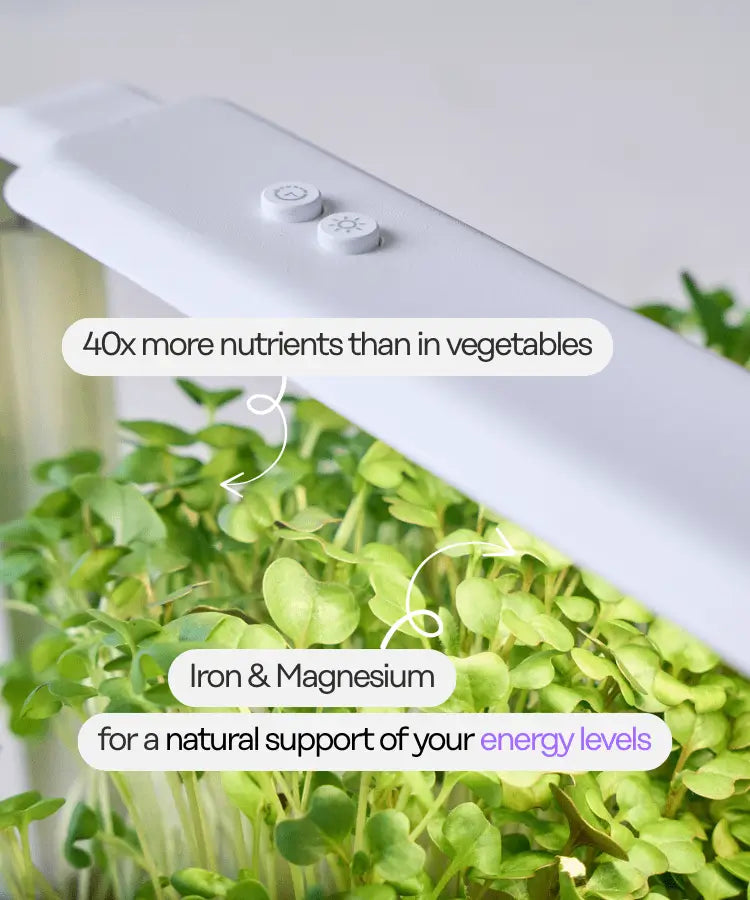 Energy Greens Starter Set Nutrients