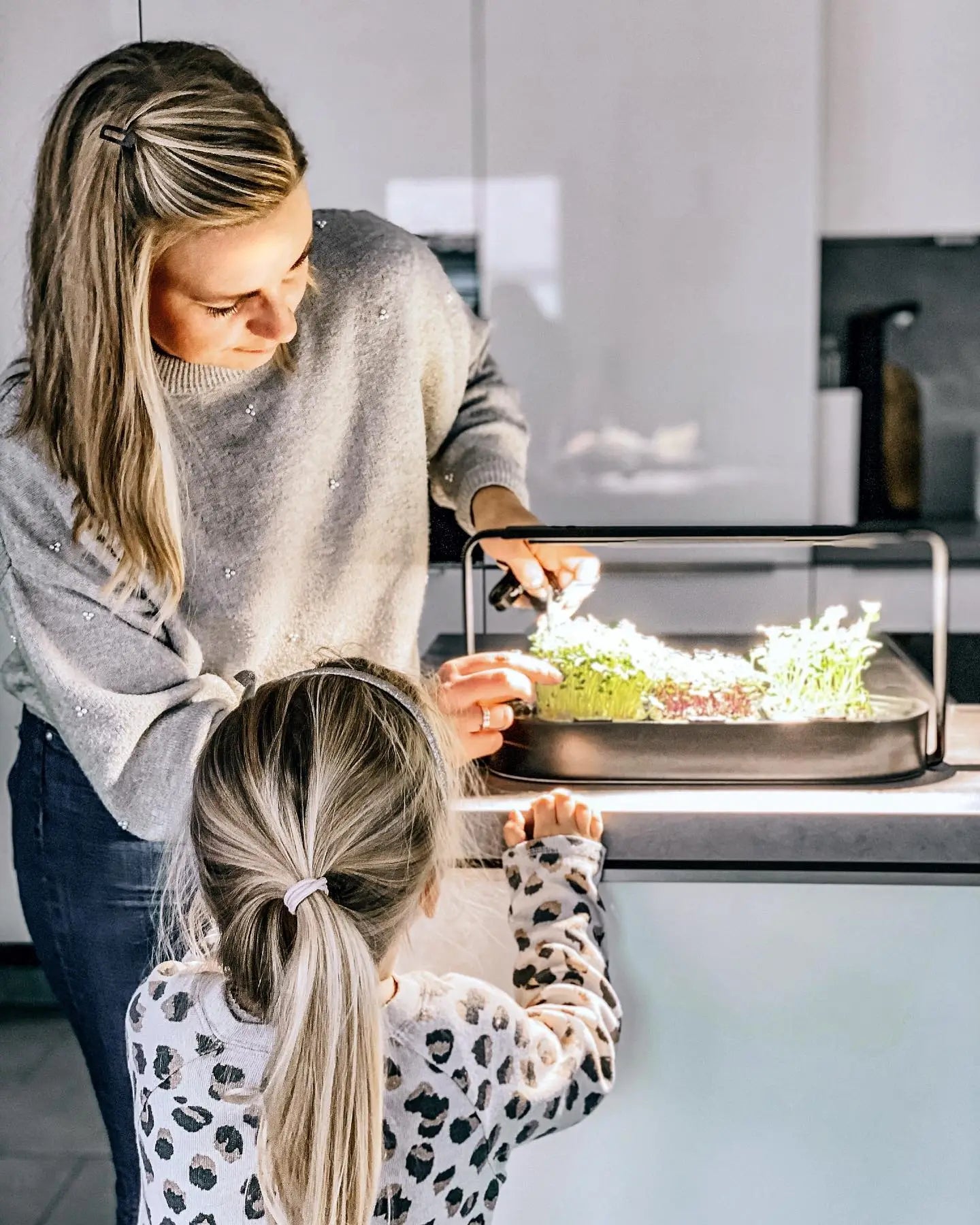 Mutter mit Tocher ernten Microgreens, schwarzer ingarden