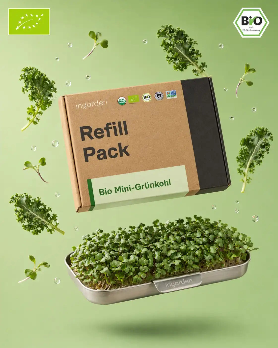 Hero Image Grünkohl Microgreens Ingarden 2026