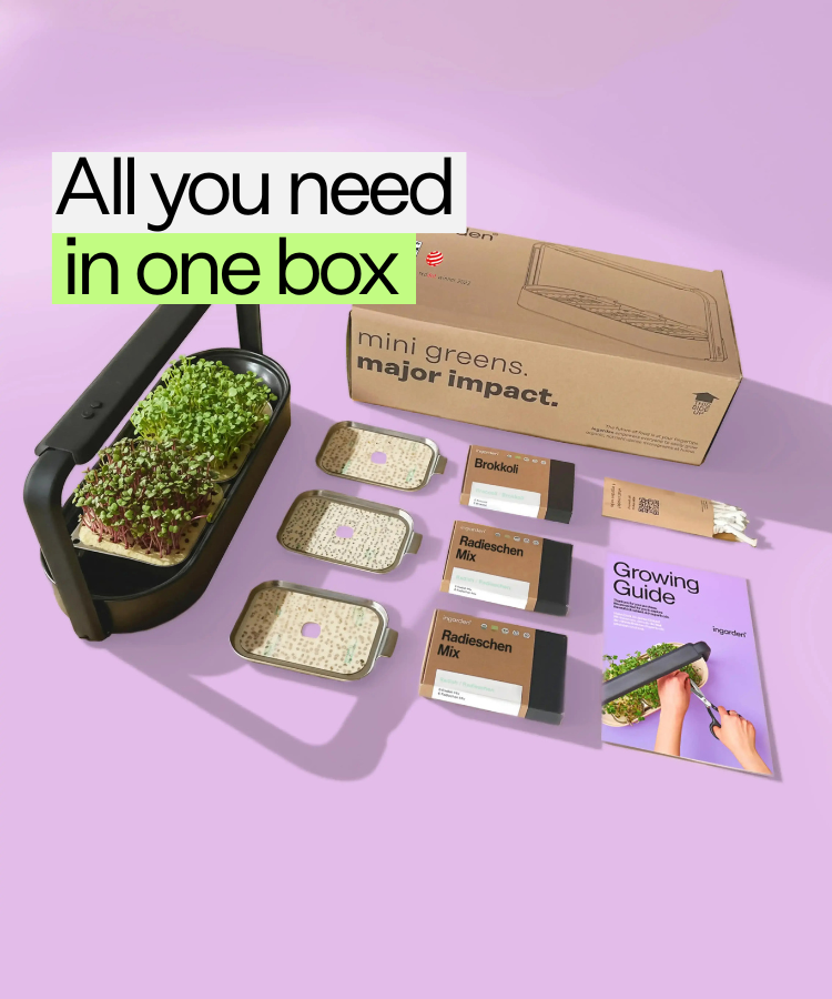 Ingarden Immune System Starter Set in a Box