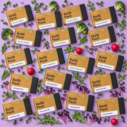 Immunschutz Pads – 365-Tage-Vorrat Duo