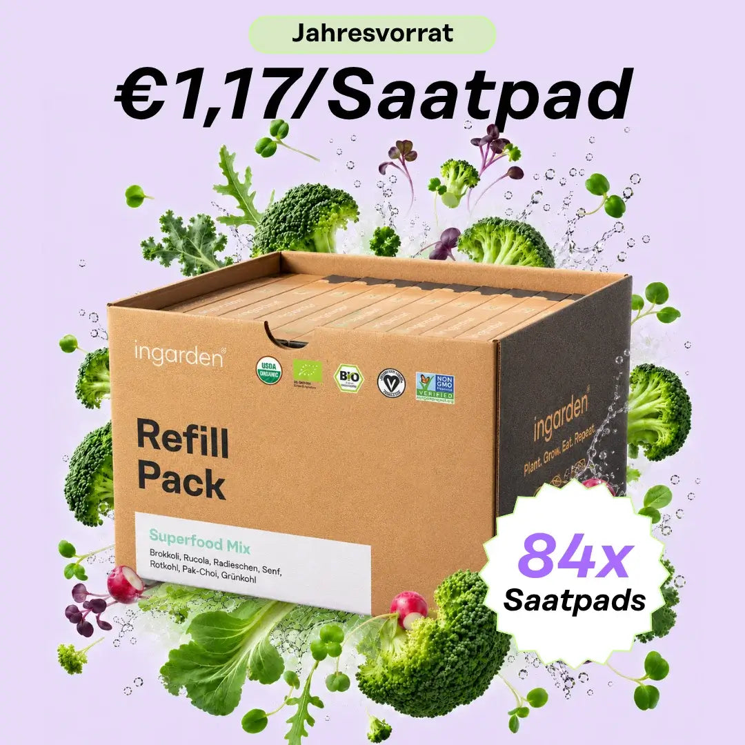 Jahresvorrat – 84 Pads Bestseller Mix