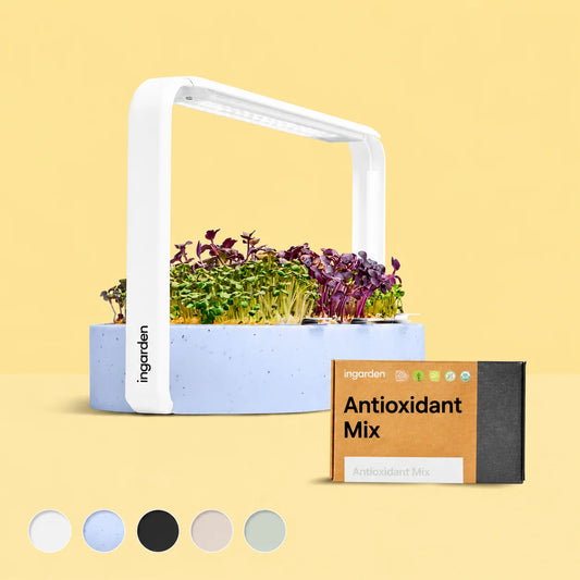 Bestseller Mix Set