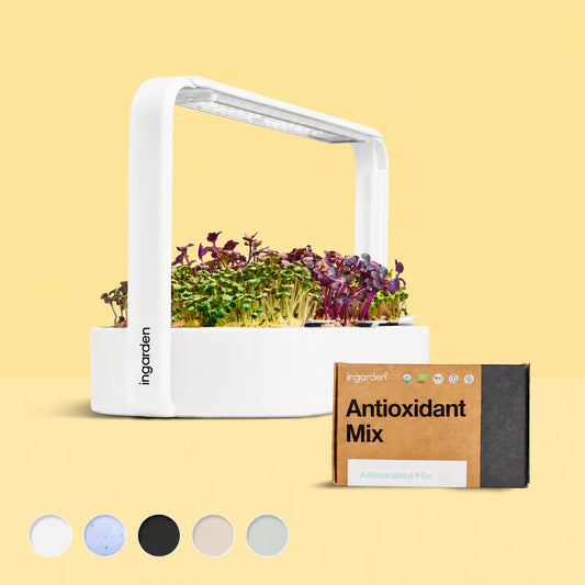 Bestseller Mix Set