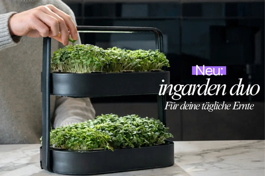VIP Reservierung ingarden duo