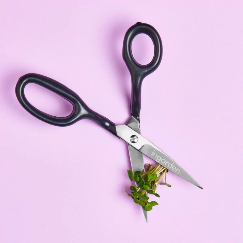 Schere für Microgreens Ernte im indoor garten ingarden